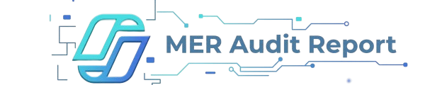 MER Audit Report